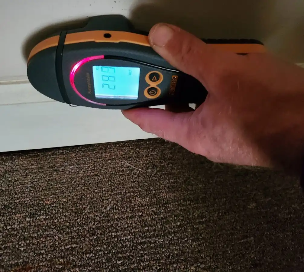 Moisture detection at baseboard during Sewage Cleanup & Sanitation in Beaufort
